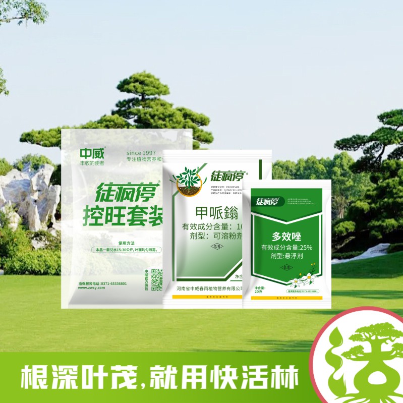 徒瘋?？赝籽b